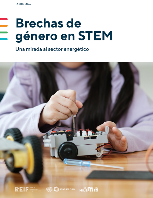 Brechas-fde-genero-en-stem