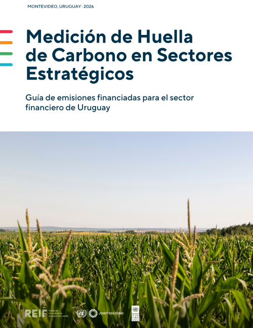 UNDP Carbon Footprint Cover (1)